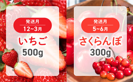 フルーツ王国山梨 フルーツ定期便 6回 山梨 フルーツ くだもの くだもの定期便 いちご さくらんぼ 桃 巨峰 シャインマスカット キウイ 定期便 山梨県産 産地直送 フルーツ 果物 くだもの ぶどう ブドウ 葡萄 シャイン シャインマスカット 新鮮 人気 おすすめ 国産 贈答 ギフト お取り寄せ 山梨 甲斐市 AD-163