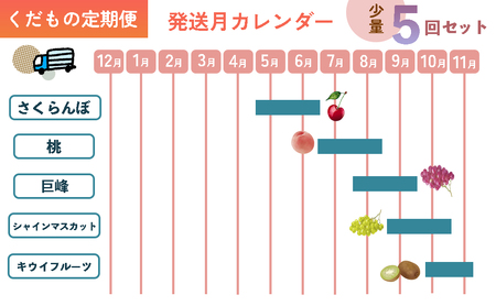 フルーツ定期便 5回 旬のフルーツ フルーツ王国 山形 さくらんぼ 桃 巨峰 シャインマスカット キウイフルーツ 葡萄 ぶどう ブドウ もも モモ マスカット キウイ 定期 おすすめ 果物 くだもの くだもの定期便 国産 山形県 甲斐市 AD-244