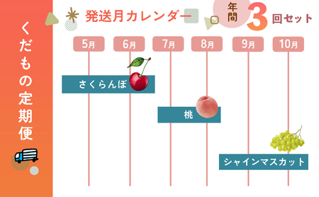 フルーツ定期便 3回 山梨 くだもの フルーツ さくらんぼ 桃 シャインマスカット 定期便 くだもの定期便 人気　おすすめ　国産　贈答　ギフト　お取り寄せ　山梨県産　産地直送　フルーツ　果物　くだもの　ぶどう　ブドウ　葡萄　シャイン　シャインマスカット　新鮮　AD-171