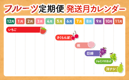 旬をお届け！ フルーツ定期便 6回 さくらんぼ 桃 シャインマスカット 巨峰 いちご 洋ナシ 定期便B 山梨 フルーツ くだもの 定期便 山梨県産 産地直送 フルーツ 果物 くだもの ぶどう ブドウ 葡萄 シャイン シャインマスカット 新鮮 人気 おすすめ 国産 贈答 ギフト お取り寄せ 山梨 甲斐市 AD-136