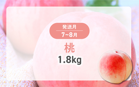 甲斐の旬のフルーツ 3回お届け！ 定期便A さくらんぼ 300g 桃 1.8kg ぶどう 1.0kg 3回 定期便 先行予約 先行 予約 山梨県産 産地直送 フルーツ 果物 くだもの さくらんぼ 桃 もも ぶどう ブドウ 葡萄 巨峰 新鮮 人気 おすすめ 国産 贈答 ギフト お取り寄せ 山梨 甲斐市 AD-135