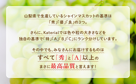 【2025年分発送】定期便 シャインマスカット 2房 約1.3㎏×3回 先行予約 先行 予約 山梨県産 国産 産地直送 人気 おすすめ 贈答 ギフト お取り寄せ フルーツ 果物 くだもの ぶどう ブドウ 葡萄 シャイン シャインマスカット 新鮮 甘い 皮ごと 山梨 甲斐市 AD-248