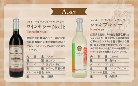 甲斐市ワイナリー別赤白ワイン2本定期便 山梨県 甲斐市 AD-273