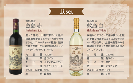 甲斐市ワイナリー別赤白ワイン2本定期便 山梨県 甲斐市 AD-273