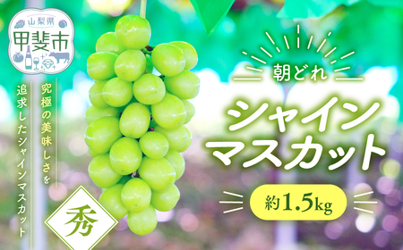 シャインマスカット 約1.5㎏ 山梨シャインマスカット