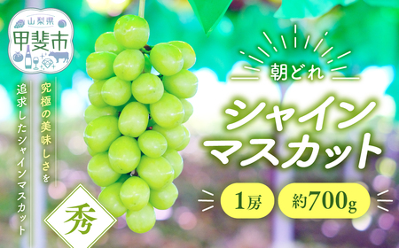 シャインマスカット 1房 約700ｇ 山梨シャインマスカット