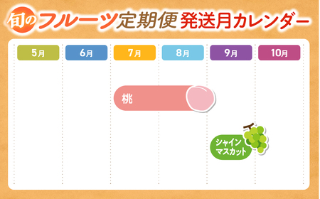 【2025年分発送】旬のフルーツ定期便（2種）山梨 シャインマスカット 桃 果物 先行予約 ﾌﾙｰﾂﾌﾙｰﾂﾌﾙｰﾂﾌﾙｰﾂ 定期便定期便 AV-37
