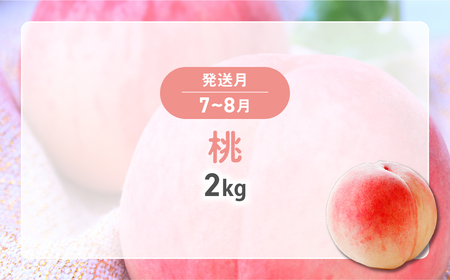 【2025年分発送】旬のフルーツ定期便（2種）山梨 シャインマスカット 桃 果物 先行予約 ﾌﾙｰﾂﾌﾙｰﾂﾌﾙｰﾂﾌﾙｰﾂ 定期便定期便 AV-37