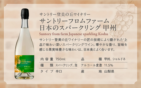 甲斐市産スパークリングワイン2本セット　ワイン 家飲み スパークリング 日本ワイン 山梨ワイン 定番 テーブルワイン お酒 SUNTORY 甲州 飲み比べ 山梨県 甲斐市 AD-296