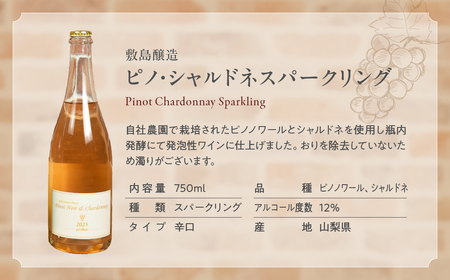 甲斐市産スパークリングワイン2本セット　ワイン 家飲み スパークリング 日本ワイン 山梨ワイン 定番 テーブルワイン お酒 SUNTORY 甲州 飲み比べ 山梨県 甲斐市 AD-296