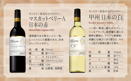 甲斐市産　たっぷり堪能！赤白ワイン12本セットワイン 家飲み 赤 白 日本ワイン 山梨ワイン 定番 テーブルワイン お酒 山梨 甲斐市 サントリー 甲州 飲み比べ 山梨県 甲斐市 AD-298