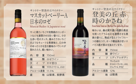 甲斐市産　たっぷり堪能！赤白ワイン12本セットワイン 家飲み 赤 白 日本ワイン 山梨ワイン 定番 テーブルワイン お酒 山梨 甲斐市 サントリー 甲州 飲み比べ 山梨県 甲斐市 AD-298