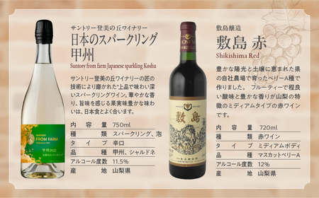 甲斐市産　たっぷり堪能！赤白ワイン12本セットワイン 家飲み 赤 白 日本ワイン 山梨ワイン 定番 テーブルワイン お酒 山梨 甲斐市 サントリー 甲州 飲み比べ 山梨県 甲斐市 AD-298