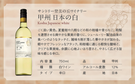 甲斐市産ワイン　白飲み比べ6本セット 山梨県 甲斐市 AD-256