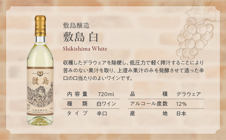 甲斐市産ワイン　白飲み比べ6本セット 山梨県 甲斐市 AD-256