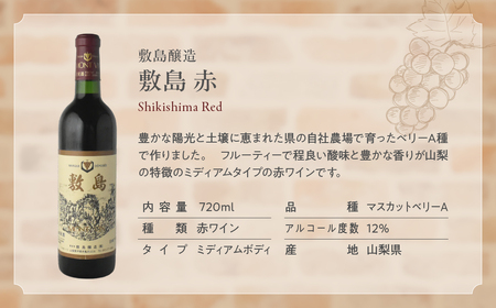 新！甲斐市産赤ワイン3本セット　ワイン 家飲み 赤ワイン 日本ワイン 山梨ワイン 定番 テーブルワイン お酒 サントリー 飲み比べ 山梨県 甲斐市 AD-34