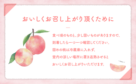 【厳選】白鳳 桃 2.0kg相当 BH-14