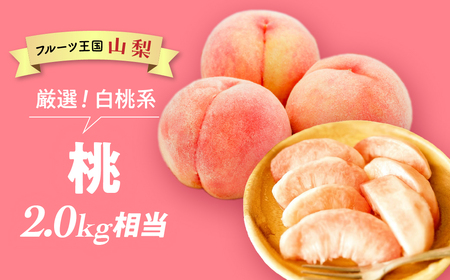 【厳選】白桃 2.0kg相当 桃 BH-17