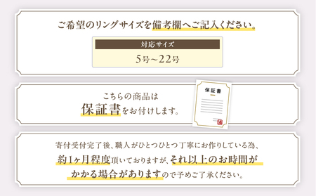 エメラルド リング 0.5ct Pt900 (14456) 指輪 リング プラチナ エメラルド プラチナ ダイヤモンド ジュエリー アクセサリー ジュエリー アクセサリー ジュエリー アクセサリー 山梨県 甲斐市 BR-93
