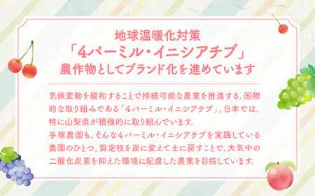 あんぽ柿 食べ比べ便 1箱 計3パック入 大和百目 甲州百目 武田柿 柿 フルーツ 果物 ドライフルーツ 干し柿 山梨 あんぽ柿 和菓子 山梨県 甲斐市 AV-42