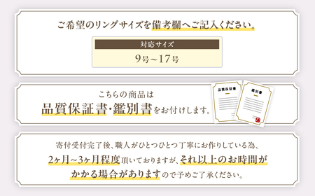 Pt999 プラチナ グリーン 非加熱 サファイア ダイヤモンド リング 指輪 ジュエリー アクセサリー 人気 おすすめ レディース 非加熱サファイア 0.6ct ダイヤ 0.26ct カラット ナチュラル 山梨県 甲斐市 AQ-183 SJ-91
