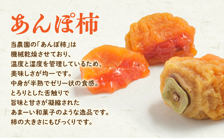 あんぽ柿 8個入り 季節限定 柿 フルーツ 果物 ドライフルーツ 干し柿 あんぽ柿 あんぽ柿 あんぽ柿 あんぽ柿 AV-7