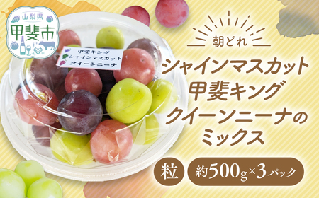 【ご家庭用つぶつぶ】ぶどう3種　約1.5㎏ シャインマスカット 山梨シャインマスカット