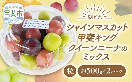 【ご家庭用つぶつぶ】ぶどう3種 約1㎏ シャインマスカット 山梨シャインマスカット