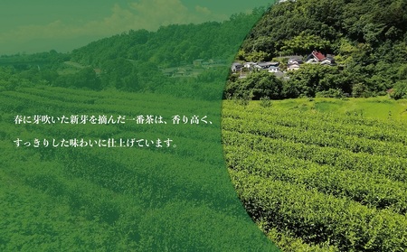 村茶季園　すっきり煎茶　ティーバッグ8袋入り　CS-1　農薬不使用　化学肥料不使用