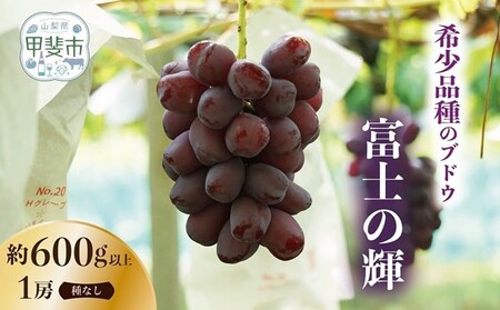 有機栽培にこだわった選りすぐりのぶどう 富士の輝 1房600g以上 ぶどう 希少品種