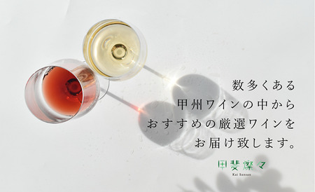 甲斐市産 おまかせワイン各月2本×6か月 計12本定期便 AD-319