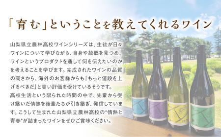 赤白ワイン 2本セット 農林高校ワイン 2024ヴィンテージ定番 