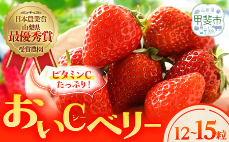 いちご 12個～15個 いちご「おいCベリー」人気