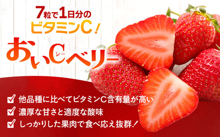 いちご 12個～15個 いちご「おいCベリー」人気