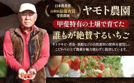 いちご 12個～15個 いちご「おいCベリー」人気