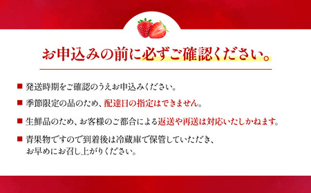 いちご 12個～15個 いちご「もういっこ」人気