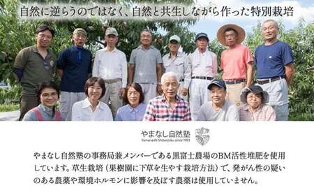 【2026年／令和8年発送】樹上完熟シャインマスカット（特別栽培）1.2㎏／2房