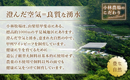 JAS認証 甲州ワインビーフ 定期便【林】 定期便 6回 すき焼き しゃぶしゃぶ 焼肉 小林牧場 甲州牛 国産 赤身 肉 牛肉 ビーフ 切り落とし ステーキ サーロインステーキ サイコロステーキ 赤身 肩ロース カタロース モモ カルビ 高級 ジューシー とろける 旨味 山梨県 甲斐市 A-57