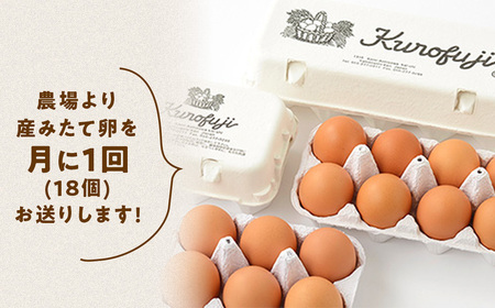【6ヵ月定期便】放牧卵 18個×6ヶ月 卵定期便 山梨県 甲斐市 B-21