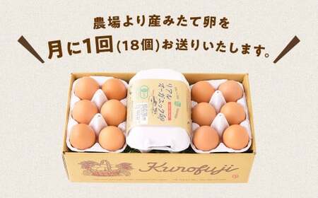 【6ヵ月定期便】リアルオーガニック卵 18個×6ヶ月 卵 たまご タマゴ 玉子 鶏卵 山梨 黒富士農場 産みたて 新鮮 自然卵 放牧卵 たまごかけご飯 平飼い 定期便 オーガニック 有機JAS 冷蔵 甲斐市 B-23