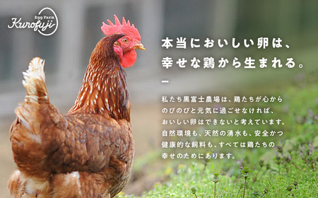 黒富士農場の放牧卵たっぷり60個セット 卵 たまご タマゴ 玉子 鶏卵 黒富士農場 新鮮 自然卵 放牧卵 たまごかけご飯 平飼い 冷蔵 山梨 甲斐市 B-29