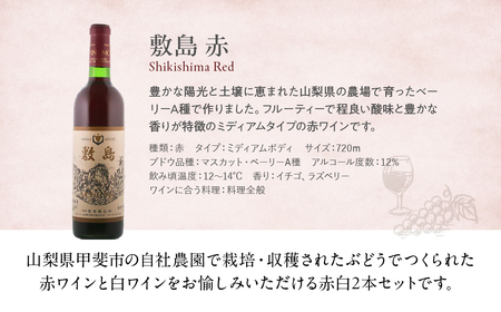 【敷島 赤 & 敷島 白】赤白2本セット 720ml ×2 敷島醸造 赤ワイン 白ワイン ワイン わいん 日本ワイン ワインセット 辛口ワイン 国産ワイン ギフト お祝い 飲み比べ 山梨 甲斐市 F-1