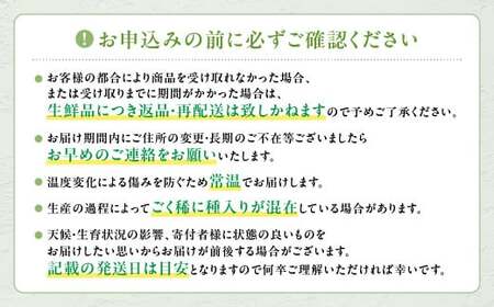 【2025年発送】 最高級 シャインマスカット3～4房 約2.2㎏ 先行予約 山梨県産 産地直送 フルーツ 果物 くだもの ぶどう ブドウ 葡萄 シャイン シャインマスカット 新鮮 人気 おすすめ 国産 贈答 ギフト お取り寄せ 山梨 甲斐市 AN-12