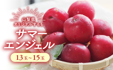 【☆先行予約☆2025年/令和7年発送分】 サマーエンジェル 山梨 サマーエンジェル すもも 先行予約 山梨県産 スモモ もも モモ 大玉 贈答用 家庭用 高級 フルーツ くだもの 果物 おすすめ 人気 山梨県 甲斐市 AV-20