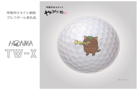 甲斐市prイラスト使用 ゴルフボール Honma Tw X 山梨県甲斐市 ふるさと納税サイト ふるなび