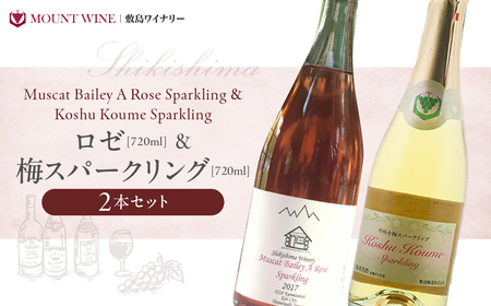 ロゼ 梅スパークリング 720ml × 2本 ワイン わいん ロゼワイン スパークリングワイン 辛口 山梨 甲州 甘口 日本ワイン 国産ワイン ワインセット 飲み比べ 甲斐市 F-31
