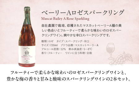 ロゼ 梅スパークリング 720ml × 2本 ワイン わいん ロゼワイン スパークリングワイン 辛口 山梨 甲州 甘口 日本ワイン 国産ワイン ワインセット 飲み比べ 甲斐市 F-31
