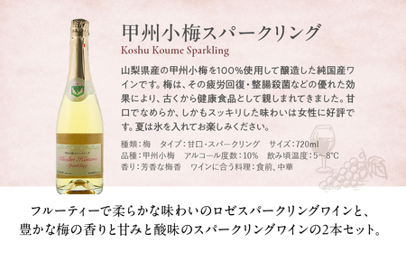 ロゼ 梅スパークリング 720ml × 2本 ワイン わいん ロゼワイン スパークリングワイン 辛口 山梨 甲州 甘口 日本ワイン 国産ワイン ワインセット 飲み比べ 甲斐市 F-31