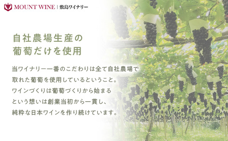 ロゼ 梅スパークリング 720ml × 2本 ワイン わいん ロゼワイン スパークリングワイン 辛口 山梨 甲州 甘口 日本ワイン 国産ワイン ワインセット 飲み比べ 甲斐市 F-31