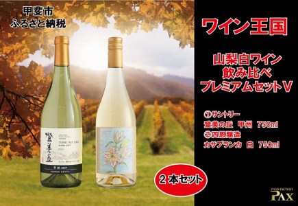 山梨白ワイン飲み比べ プレミアムセットⅤ